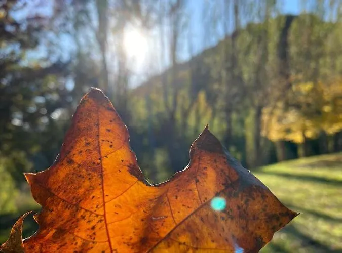 Hotel Agriturismo Il Poggiolo Casola Valsenio